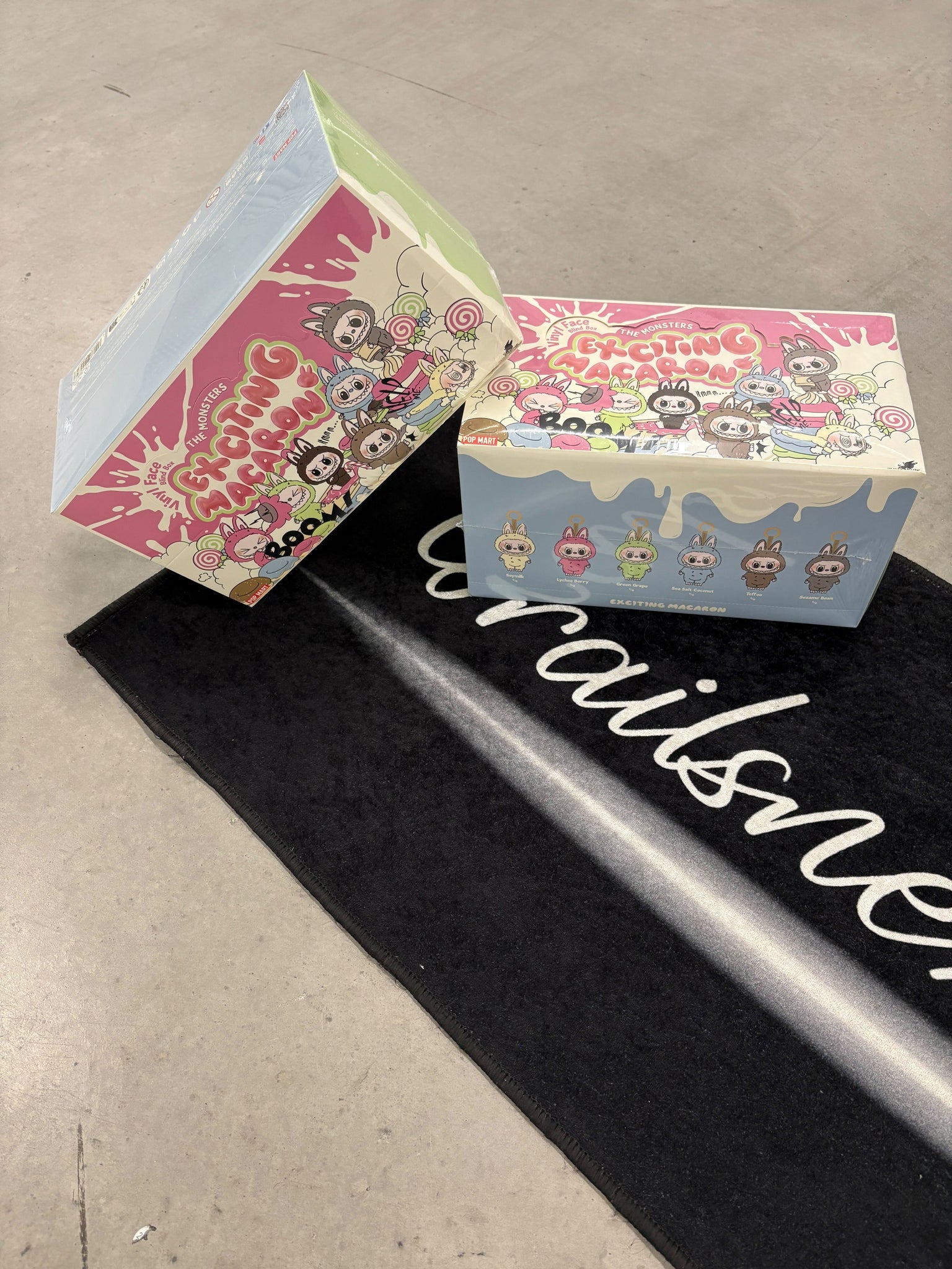 Labubu “exciting macaron” box